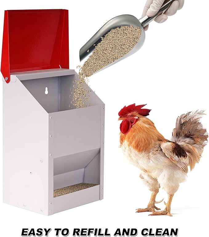 Automatic Metal Chicken Feeder Galvanized Poultry Feeder with Lid Outdoor Wall Mount Chicken Food Dispenser Gravity Fed Chicken Feeder Weatherproof No Waste Quail Duck Feeder (10LBS)