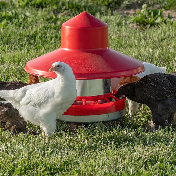 Premier 1 Galvanized Cone Feeder for Chickens & Poultry - 22 lb Capacity (Feeder Only)