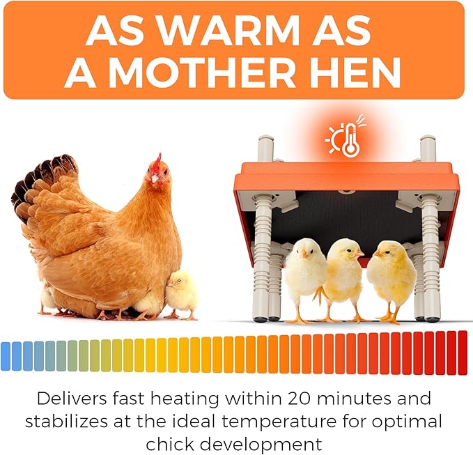 Chick Brooder Heating Plate with Anti Stand Cone 12 x 12 Brooder Heater for Chicks with Adjustable Heights