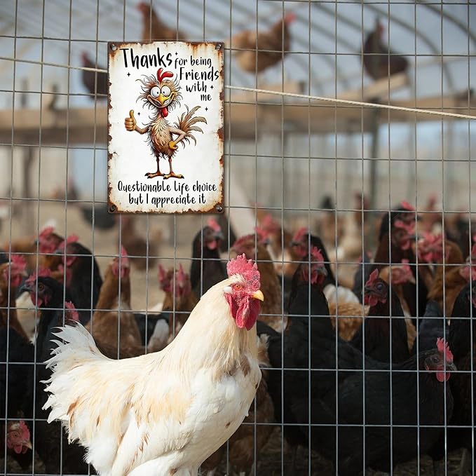 Funny Chicken Signs - Chicken Coop Thanks For Being Friends With Me Tin Signs For Lovers Gifts Outdoor Home Farm Wall Art Decor 8x12 Inch