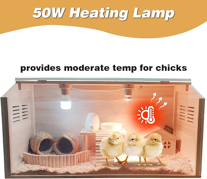 Solid Wood Chicken Brooder Box with Lighting Kit & Thermometer - Indoor Brooding for 25 Chicks (32x16x16) - Ideal for Chickens, Ducks, Quails, Hamsters & Lizards (XL)