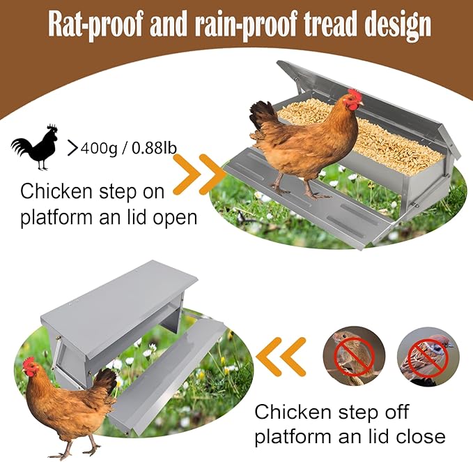 kathson Automatic Treadle Chicken Feeder,11lbs Pedal Chicken Feeder Rat Proof Poultry Feeder with Rainproof Lid Stainless Steel Treadle Feeder for Chickens Pheasants Ducks
