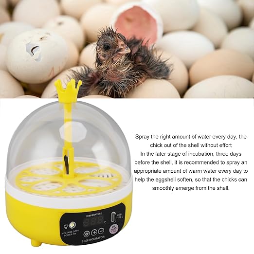 Mini Egg Incubator, Automatic Temperature Humidity Control, 4 Eggs Capacity, Transparent Lid, Multifunctional Hatching for Chicken, Quail, Duck Eggs, with Egg Turner, Humidity (Manual Turning)