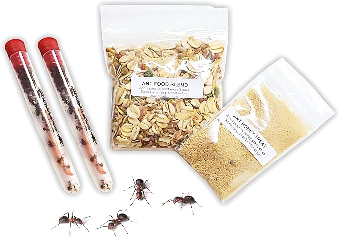 Live Ant Habitat Refill Kit - Includes 50 Live Red Harvester Ants, Ant Food, Honey - All-in-One Educational Insect Exploration Kit - Active Observation and Learning Experience Bundle