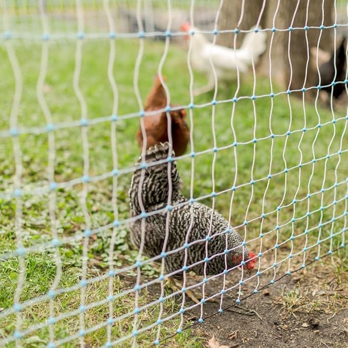 Starkline Electric Poultry Netting 48" x 82' Electric Poultry Netting w/Double Spiked Fiberglass Posts (12/48/3) Electric Fence for Chickens in Backyards, on Homesteads, Farms and Ranches