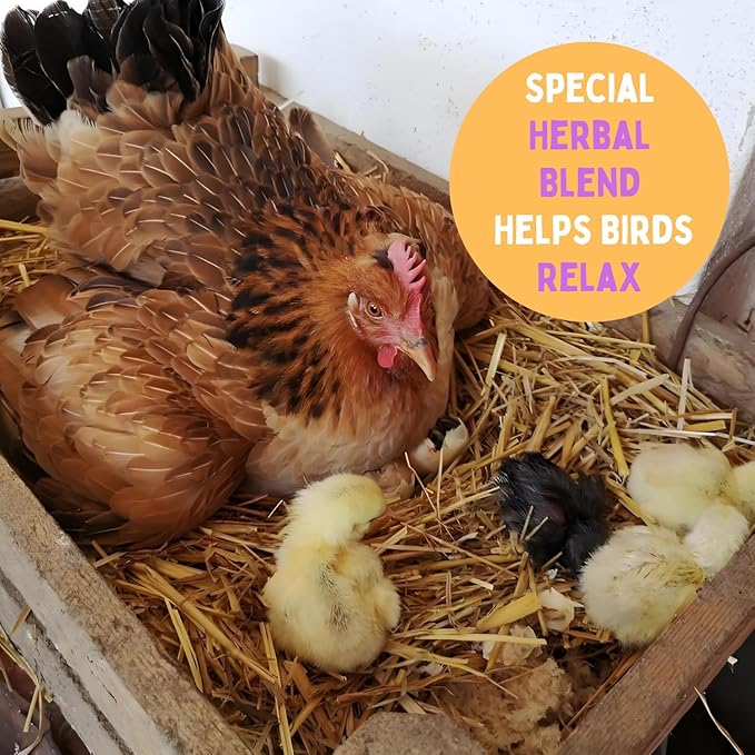 Chicken Nesting Herb Blend 10oz Natural Coop Care & Comfort for Happy Hens