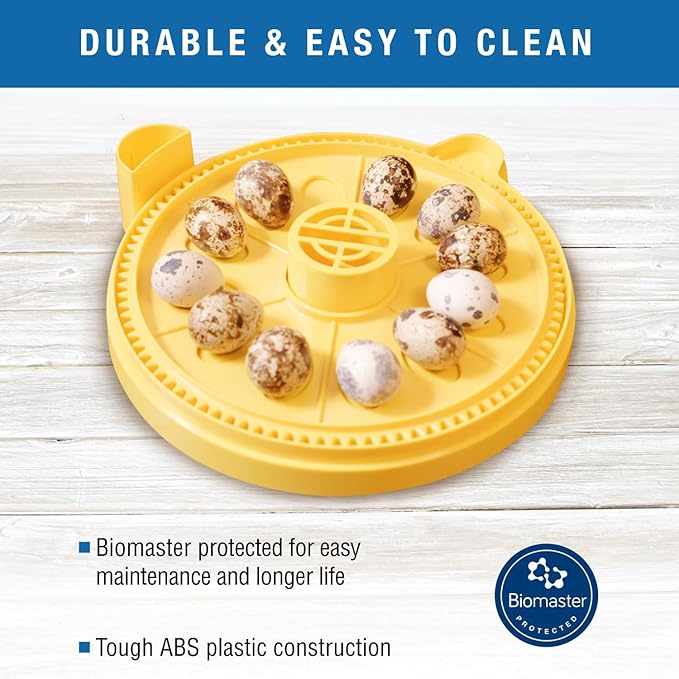 Brinsea Small Egg Insert Optional Accessory for Mini Advance Incubator System, Fits 12 Pheasant or Quail Size Eggs
