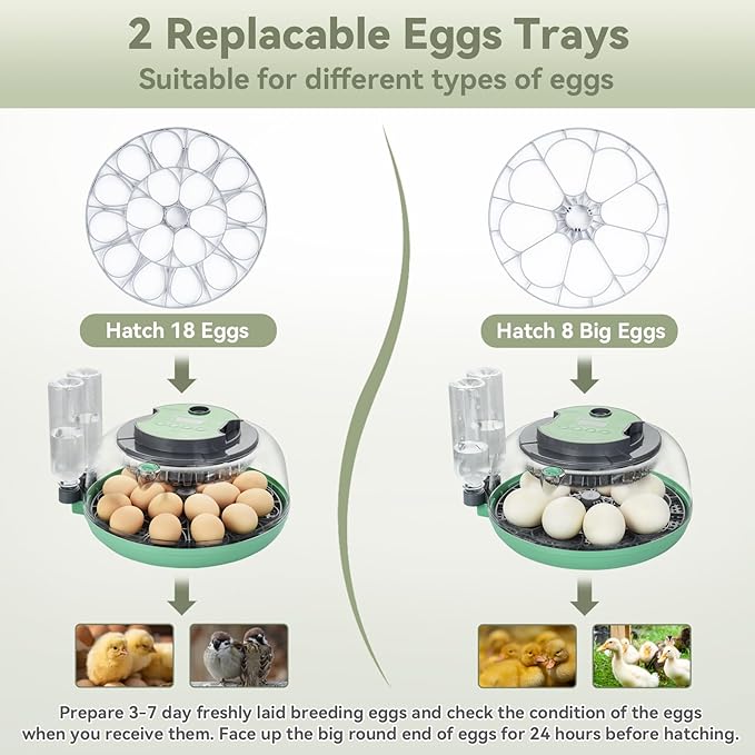 18 Egg Incubator with Automatic Egg Turning - Hatching Unit with Digital Control & Built-in Candler, 2 Size Egg Tray, Automatic Water Refill, Egg Incubator for Hatching Chicken Quail Duck Turkey Goose