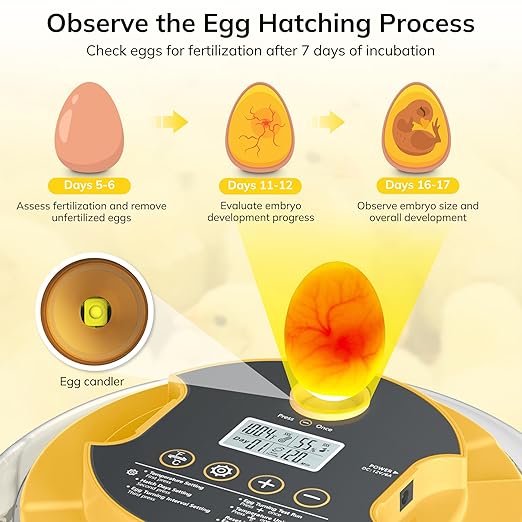 18 Egg Incubator with Automatic Egg Turning and Humidity Control, Chicken Incubator for Hatching Eggs with Temperature Display, Auto Record, Egg Candler, Extra 2 Water Bottles & 2 Egg Trays
