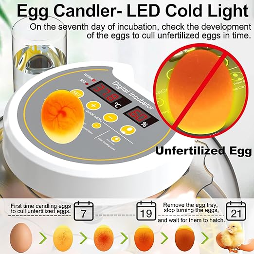 Egg Incubators for Hatching Eggs, 8/30 Chicken Egg Incubator with Automatic Egg Turning, Temperature Control & Humidity Display, Egg Candler, Home Use for Chicken, Duck, Quail - 2 Egg Trays Yellow