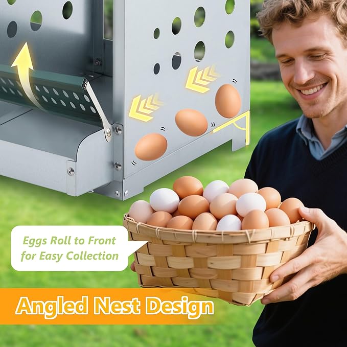 Nesting Box for Chickens Laying Eggs,Roll Away Chicken Nesting Boxes with 6 Compartment,Wall Mountable Metal Chicken Nesting Box,Roll Out Nesting Boxes for Hens,Green