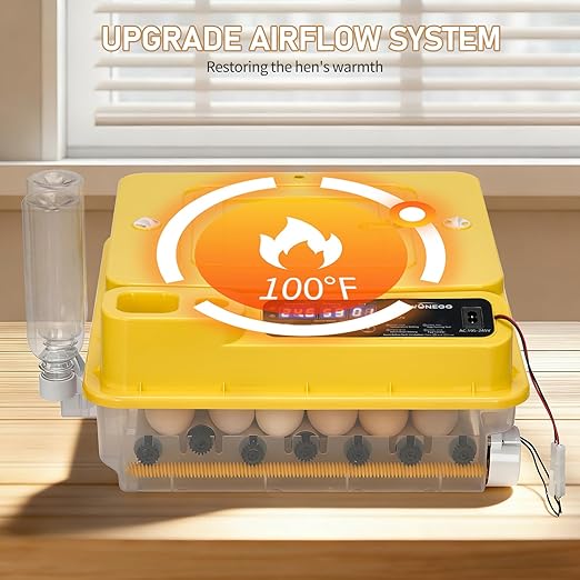 Winado Incubators for Hatching Eggs, 30 Egg Incubator with Automatic Egg Turning, Temperature & Humidity Control, Egg Candler, Automatic Water Filling and Day Counter for Eggs Hatching