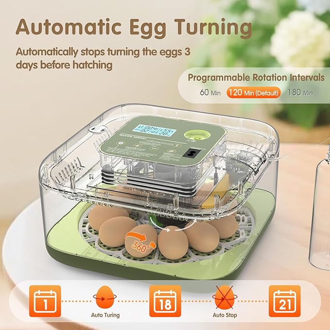 12 Egg Incubator with Automatic Turning, Temperature and Humidity Control, LED Egg Candler, and Auto Water Addition, for Hatching Chicken, Goose, Duck, Quail, Pigeon, and Turkey Eggs