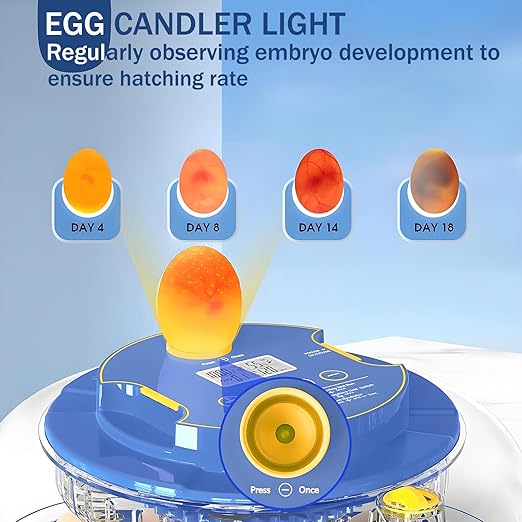 18 Egg Incubator with Automatic Egg Turning and Humidity Control,Water Refill,Egg Candler,Incubators for Hatching Chicken,Ducks,Goose,Quail,Pigeon,Parrot,Turkey for Farm, Home,Science Classroom