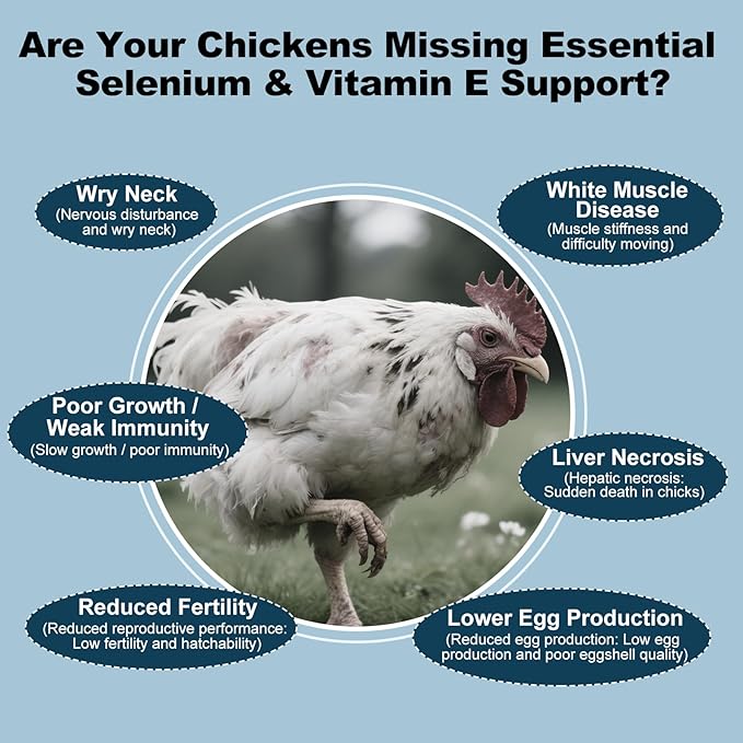 E+S Poultry Vitality Formula | Selenium for Chickens and All Poultry | Nutrient Support Liquid for Energy Balance and Mobility | Feed Mix Additive for Healthy Growth,3.4 fl oz