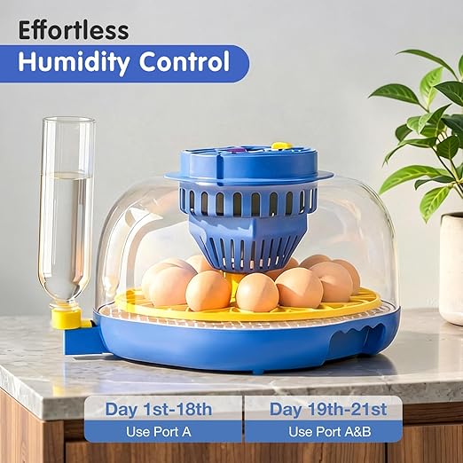 Chicken Egg Incubators for Hatching Eggs, 12 Egg Incubator with Automatic Egg Turning and Humidity Control – Chicken Incubators for Hatching Eggs with 360° View/Candler/Water Bottle Refill/Air Vent