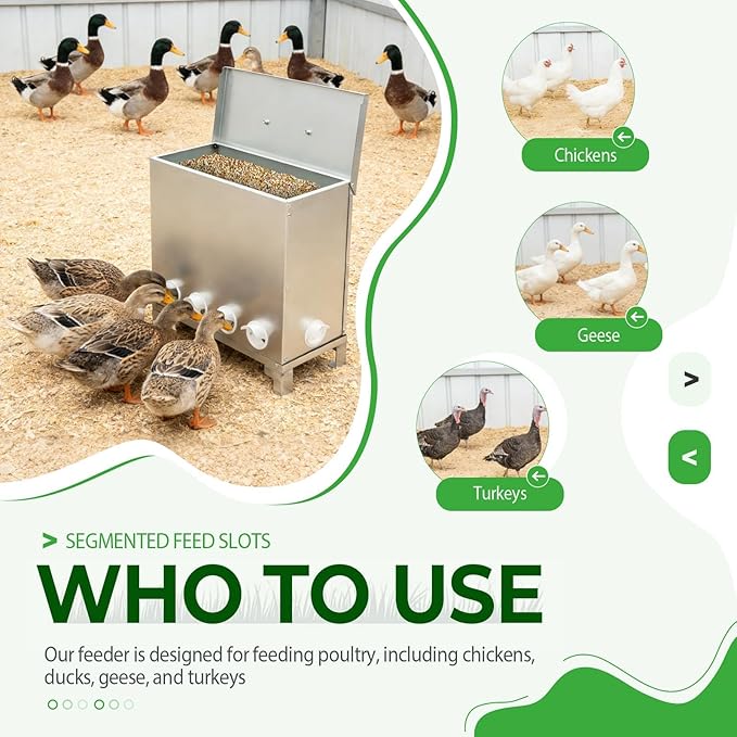 Automatic Metal Chicken Feeder 150LBS Large Capacity Weatherproof Animal-Proof Poultry Feeder No Waste 10-Port for Chickens Geese Ducks Turkeys Quails Steel Plastic Silvery Galvanized