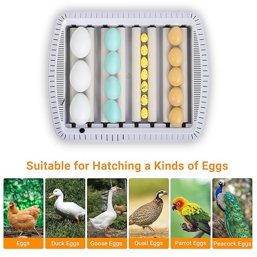35 Egg Incubators for Hatching Eggs, Chicken Egg Incubator with Automatic Egg Turning and Temperature, Humidity Control, Water Alarm, Egg Hatcher Incubator for Chickens, Ducks, Geese, Birds and Quail