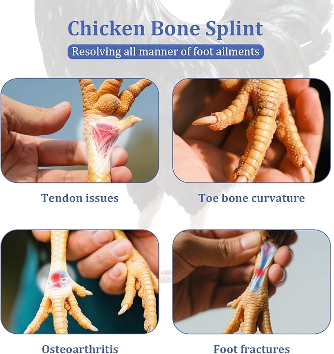 2 Pack Chicken Leg Splint with Toe Separator, Chicken Shoes for Injured Feet, Curled Toes Duck Chicken Leg Splint Poultry Leg Brace, for Chickens and Ducks and Other Poultry