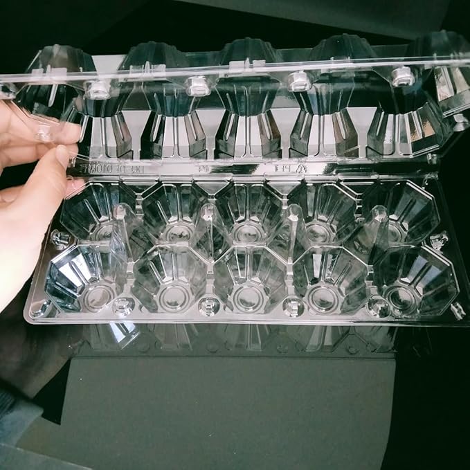 Limera Disposable Plastic Egg Cartons, Clear, 100 Pieces, Tray Egg Container Holder for Refrigerator (10 Egg Tray), Transparent