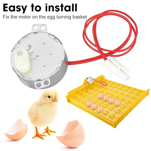 Egg Turnner Motor, 4W Egg Turner Rotator Incubator Motor Automatic EggTurning Tray Tool Incubator Accessories for Chickens Ducks Goose BirdsEgg (12v)
