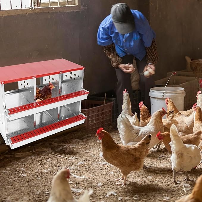 Chicken Nesting Boxes - 6 Compartment Metal Poultry Nest Box Wall Mount for Chickens, Hens, Ducks - Easy Egg Collection - Large Holes Chicken Coop Equipment (6 Compartment)