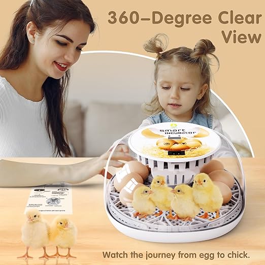 Incubators for Hatching Eggs Quail Egg Incubator 12 Eggs with Automatic Egg Turning and Humidity Control 360° Viewing for Chicken, Ducks, Goose, Pigeon for Lab Farm and Home