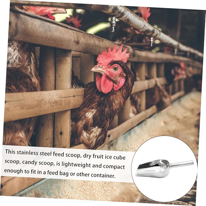 Stainless Steel Feed Scoop for Livestock Heavy Duty Grain Distribution Tool 10-inch Sturdy Metal Fodder Scooper for Pets and Farm Use