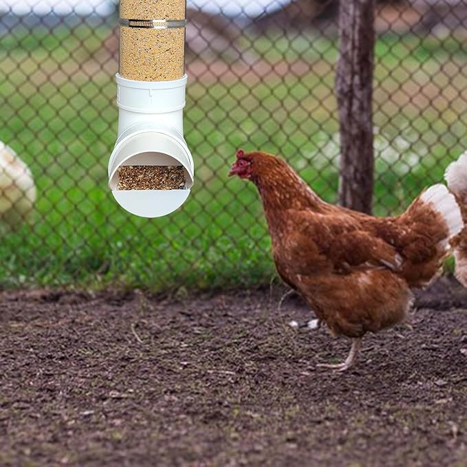 PVC Chicken Feeder,Outdoor Automatic Chicken Feeder,Chicken feeders no Waste,Wall Mount Weatherproof Chicken Gravity Feeder (Transparent)
