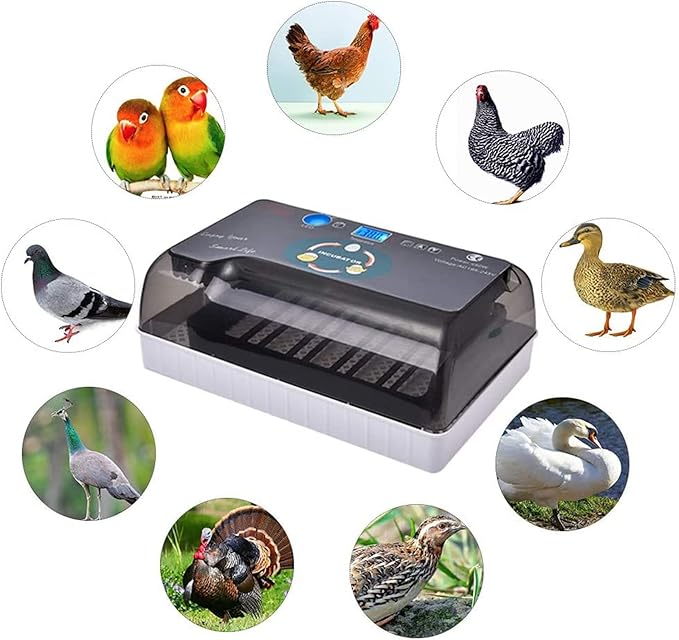 Automatic Egg Incubator, 12Eggs Electronic Poultry Hatcher with Digital LED Display Temperature Control Auto Egg Turning Turner (12 Eggs)