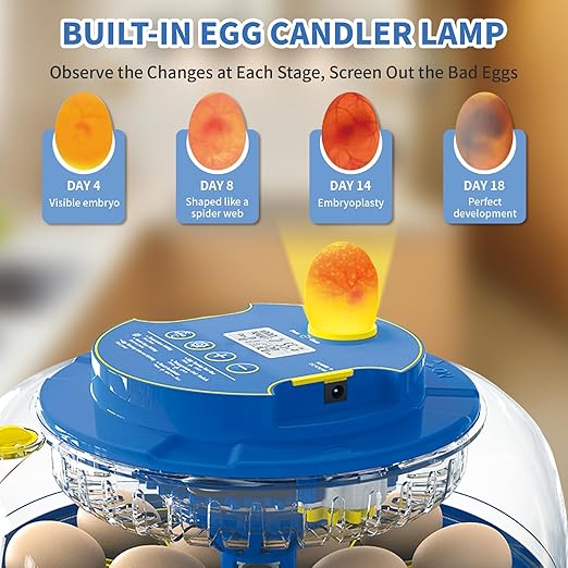 18 Egg Incubator with Automatic Egg Turning & Humidity Control - Perfect for Hatching Chicken, Duck, and Quail Eggs | 360° Viewing Window, Temperature Control, Ideal for Farm, Lab