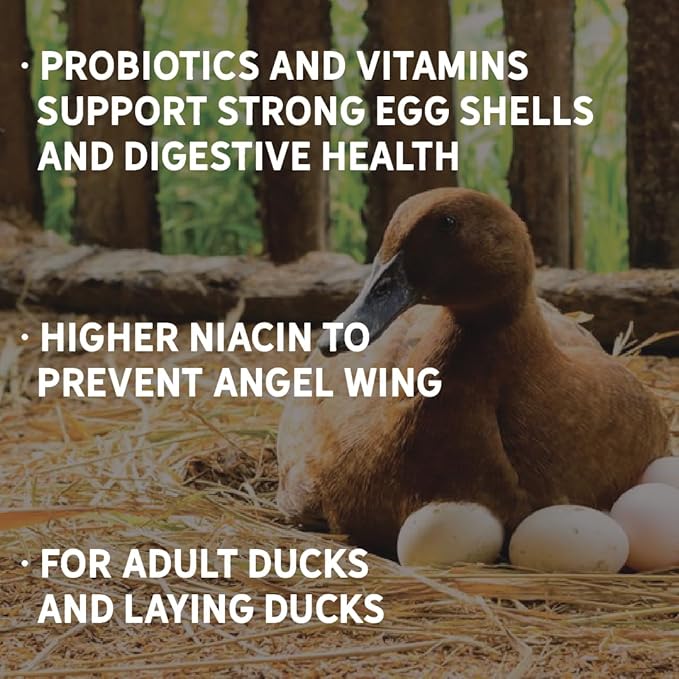 New Country Organics - Duck Layer Feed - Adult & Laying Duck Food - Soy-Free, 17% Protein - Certified Organic & Non-GMO - 40 lbs