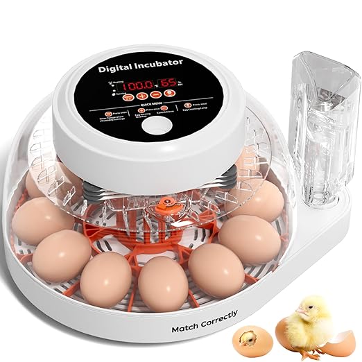 12 Egg Incubator for Hatching Eggs with Automatic Egg Turning, Temperature & Humidity Control Display, Built-in LED Egg Candler, External Water Adding System, Chicken Duck Quail Hatcher