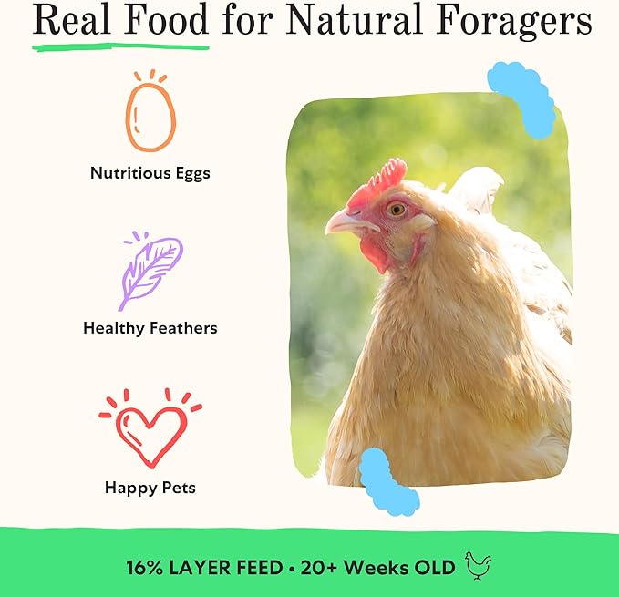 Grubbly Farms Fresh Pecks Layer Chicken Feed Pellets - 16% Layer Feed for 20+ Week Old Hens, Batams, and Larger Breeds - Contains Black Soldier Fly Grubs - No Soy, Corn, or Fish - 30 lb Bag