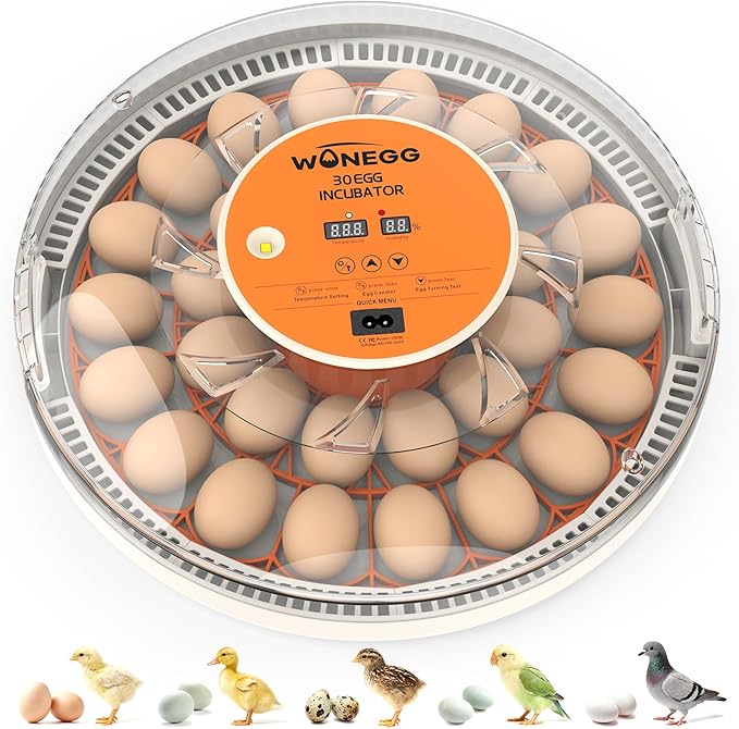 30 Egg Incubators for Hatching Eggs with Automatic Egg Turner, Auto Temperature Control, LED Candling, Humidity Monitor, 360° Viewing for Chicken Quail Parrot Birds