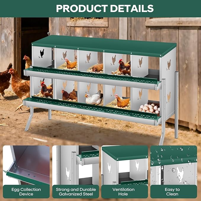 Removable Tray & Large Vented Design - Chicken Nesting Box for Small Animals - 10 Compartments, Two-Tier Galvanized Steel, Easy Wall Mount, Durable, Easy Clean - Green, 10 Compartments ZW