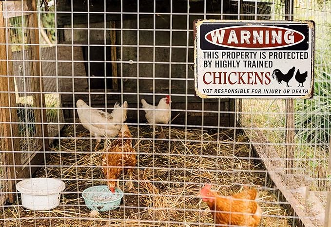 Funny Chicken Coop Sign - "Warning: Property Protected by Chickens" Decorative Metal Sign for Farm, Home, or Garden 12" * 8" (219)