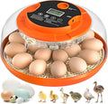 18 Egg Incubator with Automatic Egg Turning and Humidity Control, Eggs Incubators for Hatching Eggs Chicken Quail Ducks Goose Parrot for Home Classroom Lab Farm