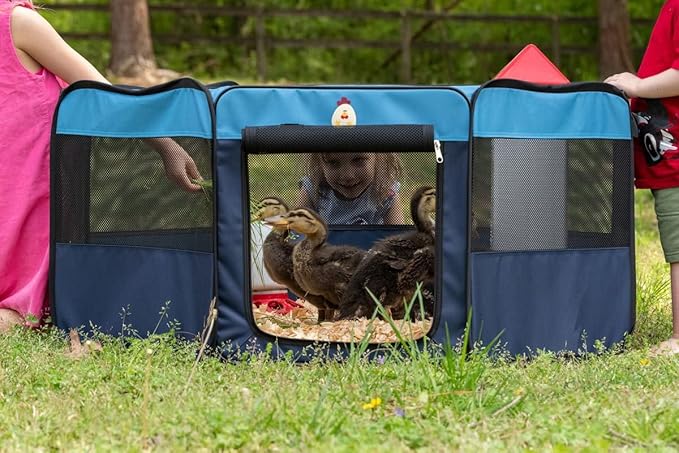Hen Pen Pop-Up Brooder: Raise Chicks w/The Collapsible Play Pen for Small Animals, Chickens & Ducklings - Portable, Lightweight and Waterproof