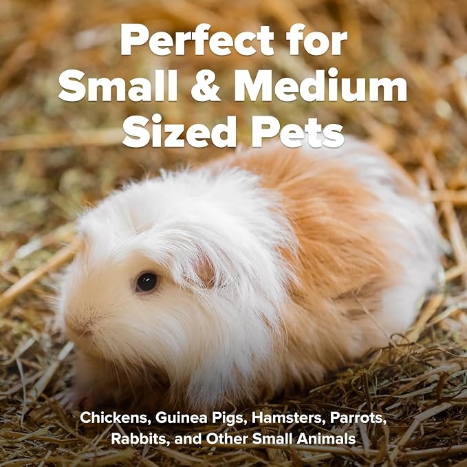 All Walks 40 Liters(4 x 10L Bags) Premium Natural Hemp Bedding, Odor Control, Low Dust, Highly Absorbent, for Rabbits, Hamsters, & Small Animals, Biodegradable, Made in USA
