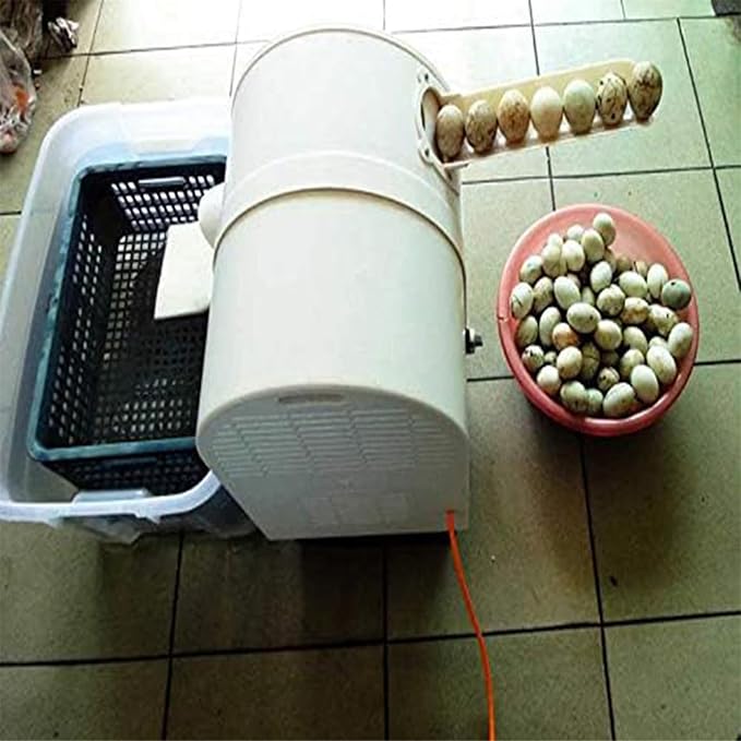 NYMFEA 120w Egg Washer Machine Automatic Egg Cleaning Machine Commercial Chicken Duck Goose Egg Brushing Machine Egg Surface Cleaning Egg Wash Cleaning Machine Duck Egg Cleaning Machine,110V