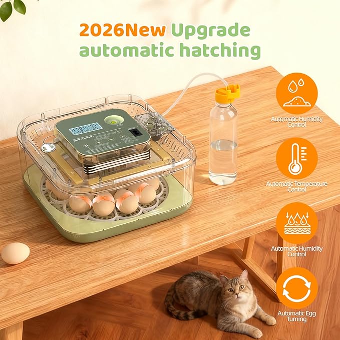 Fully Automatic Egg Incubator for Hatching Eggs, Auto Water Refill & Turner, 12 Egg Capacity (24 Quail), LED Candler, Fahrenheit Display Hatcher for Chickens Ducks Birds, Beginner Friendly