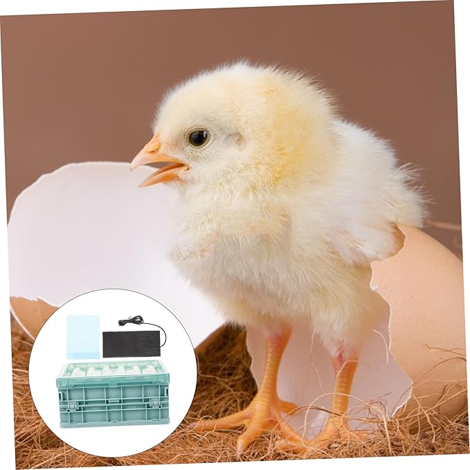 BESPORTBLE Insulation Box Chicks Brooder Kit for Hatching Eggs Parrot Chicks Safe Materials Easy Cleaning Foldable USB Heating Pad