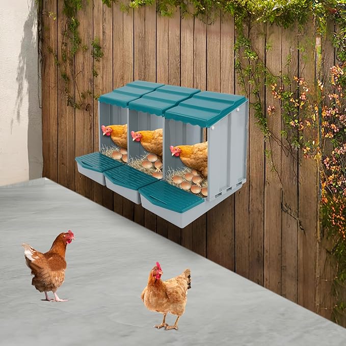 Chicken Nesting Box, 3 Compartments Laying Boxes for Hens, Nest Box for Chicken Duck Poultry Coop, Wall Mount Chickens Roosting Boxes, Protect Collect Egg (Green)