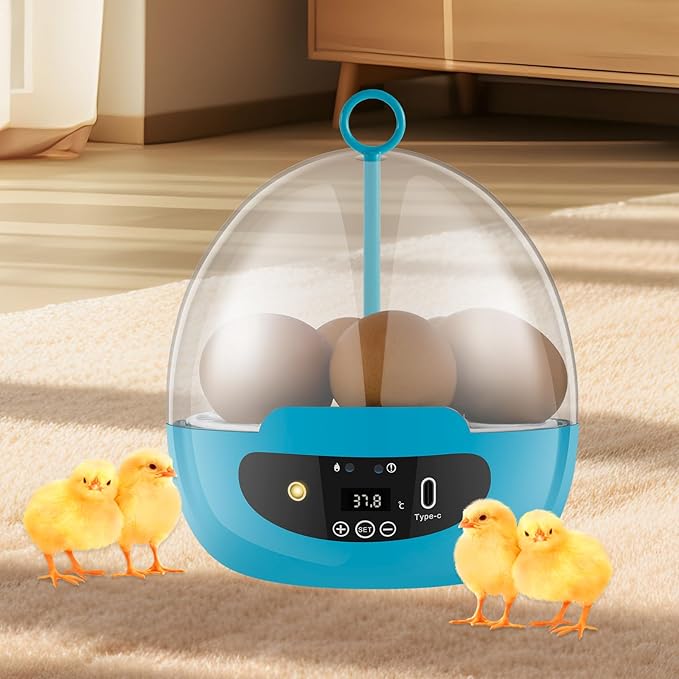 Egg Incubator with 360° Auto Egg Turning and Temperature Control Practical Incubator Smart Egg Incubator for Hatching 6 Eggs Chicken Incubator with LED Egg Light for Hatching Chicks Quails Ducks
