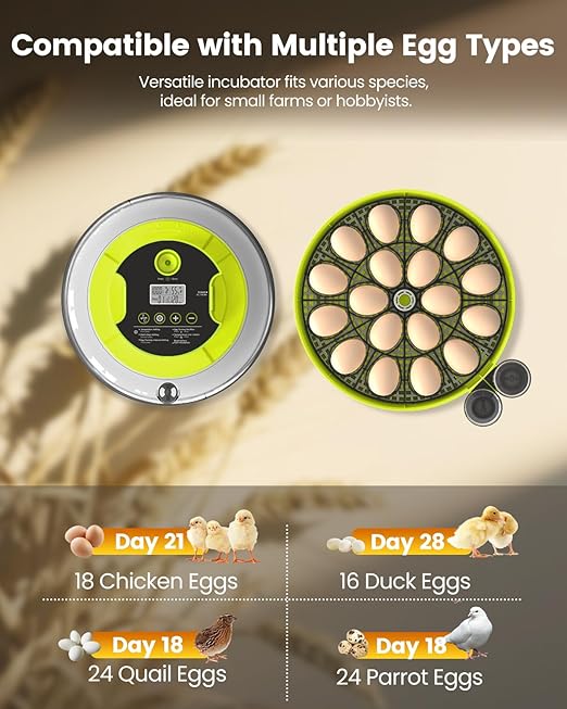 Incubator for Hatching Eggs, 18 Eggs Capacity, Incubators with Egg Candler, Automatic Egg Turner, Temperature & Humidity Control, Full Viewing for Chicken, Duck, Quail, Goose, Parrot, Pigeon