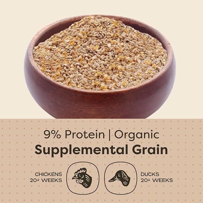 Scratch and Peck Whole Grain Scratch + Corn Chicken and Duck Supplemental Grain - 10 lbs Bag - Soy-Free - 9% Protein, Certified Organic and Non-GMO Project Verified Chicken Food