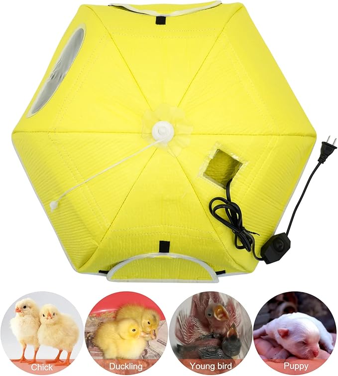 Large Chick Brooder Heating Plate Chick Brooder Box 21.6" Heat up to 50 Chicks, Chick Warmer Chicken Coop Heater Poultry Brooder for Chick Duckling Quail Goose Bird Hatchling