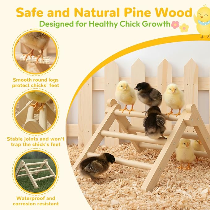 Innoland Chick Perch Foldable, Chick Toys Stable & No Assemble, Baby Chick Toys for Stand Training, 12.44" ×11.02" ×7.44" Chick Roosting Perch for Chicks Brooder | Coop (L)
