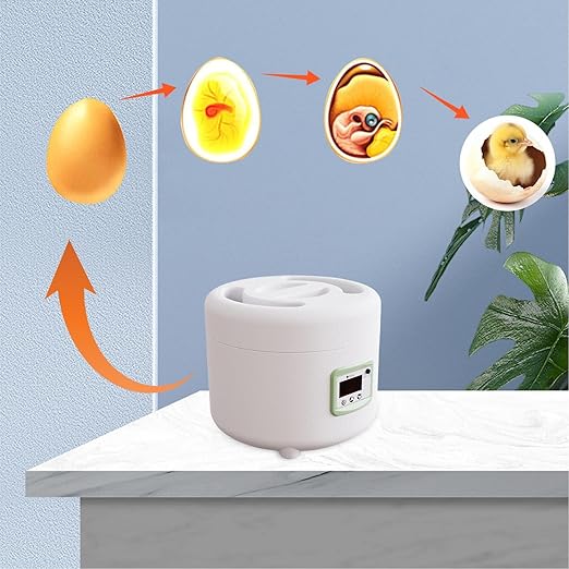 Egg Hatching Incubator - Automatic Egg Turner, Digital Temperature Control | Poultry Hatcher for Chicken, Duck, Quail Eggs, 9-10 Egg Capacity, LED Display, Ideal for Home and Educational Use